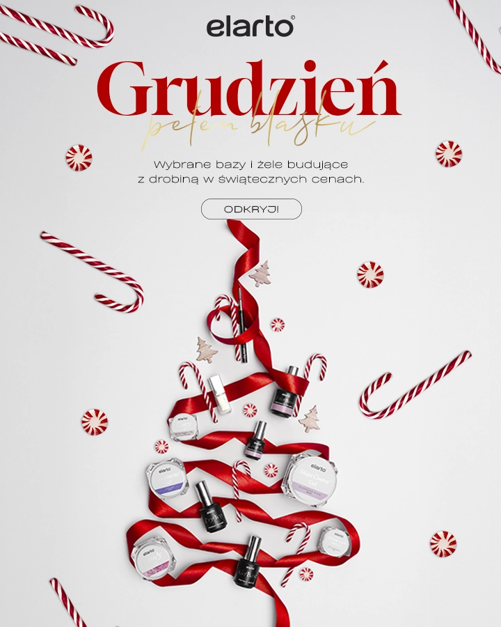 BANER - promocje grudniowe elarto